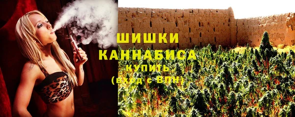 PSILOCYBIN Сосновка