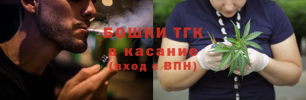 дживик Сосновый Бор