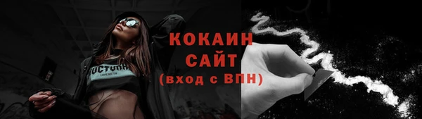 шишки Абинск
