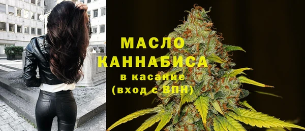 дживик Сосновый Бор