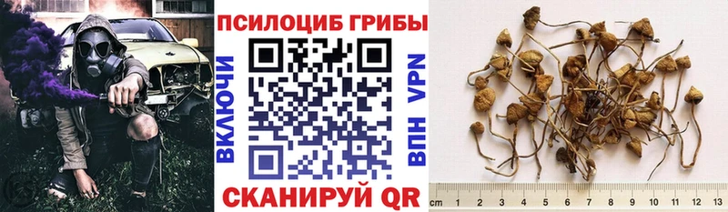 наркошоп  Чкаловск  omg сайт  Псилоцибиновые грибы ЛСД 